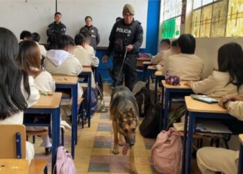 | CAMINOS DEL MAYAB | Salvar las próximas generaciones 4 | CAMINOS DEL MAYAB | Salvar las próximas generaciones