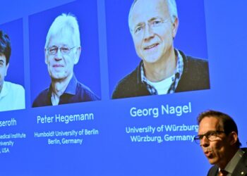 Nobel de medicina premia a tres científicos por optogenética