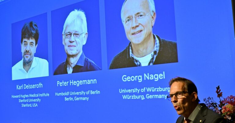 Nobel de medicina premia a tres científicos por optogenética