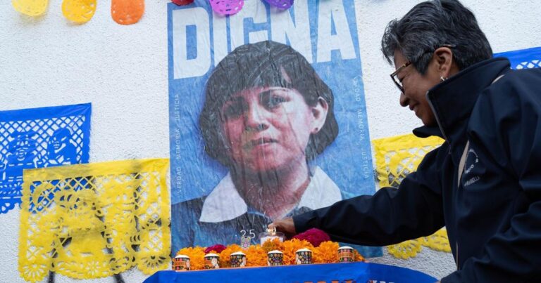 Digna Ochoa: familiares y activistas denuncian omisión estatal a 25 años del caso