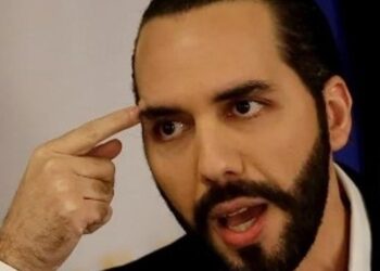 Nayib Bukele descarta que restos hallados en Haití correspondan a técnicos 6 Nayib Bukele descarta que restos hallados en Haití correspondan a técnicos