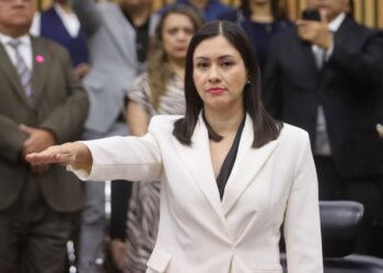 RELEVO EN EL INE: Blanca Cruz asume presidencia provisional tras renuncia de Taddei