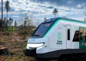 Tren Maya contrata fianza ambiental por mil 404 millones de pesos
