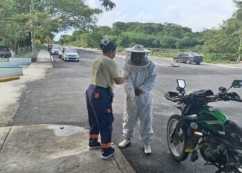 VARIOS AFECTADOS: Ataque de abejas africanizadas en Colegio de Bachilleres de Pucté 2 VARIOS AFECTADOS: Ataque de abejas africanizadas en Colegio de Bachilleres de Pucté