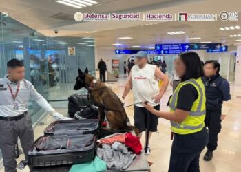 UN DETENIDO: Decomisan 10 kilos de cocaína en aeropuerto de Cancún