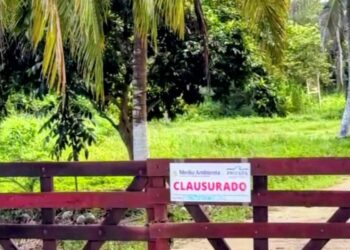 CARECE DE MIA: Clausura Profepa balneario Los Rápidos en Xul-Ha