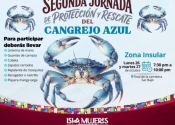 ISLA MUJERES: Invitan a participar en segunda jornada de protección del cangrejo azul