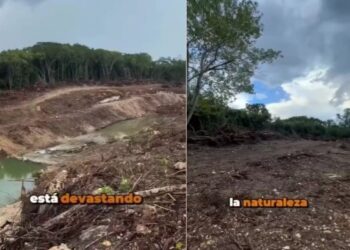 POR OBRAS DE CONAGUA: Denuncian presunto ecocidio en ribera del río Hondo