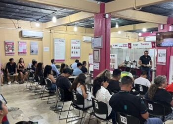 DISTRITO 01: Padrón electoral roza los 380 mil registros