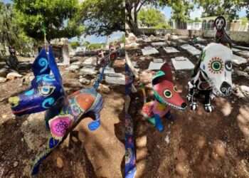 VISITAN CEMENTERIO: Familias honran memoria de sus mascotas en Chetumal
