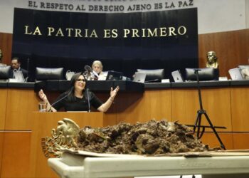 Mayuli lleva sargazo al Senado y exige recursos para su combate