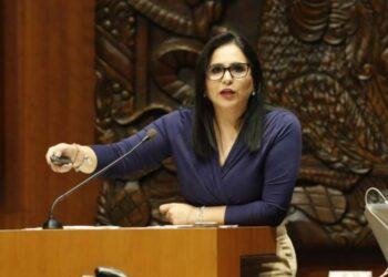 TEMA PRIORITARIO PARA QR: Mayuli entrega a Hacienda solicitud para discutir alza al DNR
