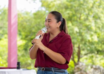 MUNICIPIOS Y DISTRITOS LOCALES: Morena publicará convocatorias el miércoles