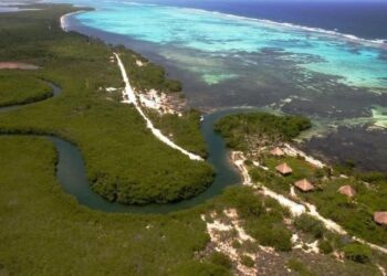 RETIRA MIA DE SEMARNAT: Frena SICT construcción de puente sobre Río Huach