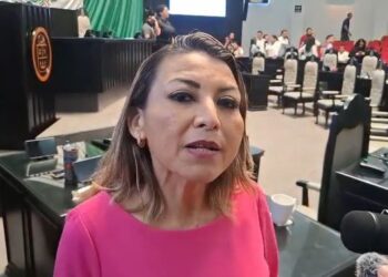 NIEGA CRISIS EN EL PAN: Acusa Reyna Tamayo a Martínez Arcila de carecer de “agallas” para dialogar