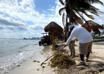 SESIONA GABINETE: Alistan estrategia anticipada contra sargazo en Cancún 8 SESIONA GABINETE: Alistan estrategia anticipada contra sargazo en Cancún