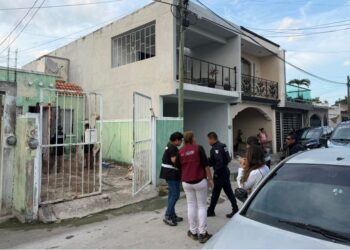 CRUELDAD ANIMAL: Hallan a siete sereques muertos en Villas Otoch en Cancún