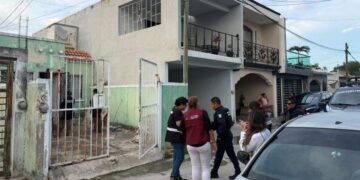 CRUELDAD ANIMAL: Hallan a siete sereques muertos en Villas Otoch en Cancún