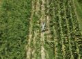 | VISIÓN INTERCULTURAL | ¿Agroecología en Quintana Roo?