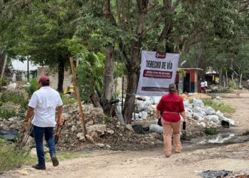 DESALOJAN ASENTAMIENTO: Derriban estructuras irregulares entre las Regiones 222 y 248