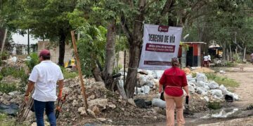 DESALOJAN ASENTAMIENTO: Derriban estructuras irregulares entre las Regiones 222 y 248