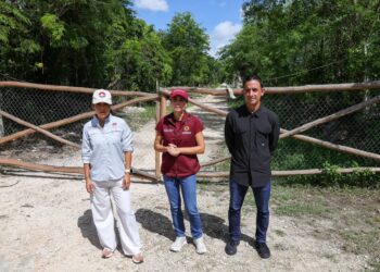 Clausuran privadas tolteca y azteca en la SM 106 de Cancún