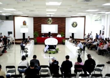 PLAYA DEL CARMEN: Cabildo registra solo una solicitud de licencia