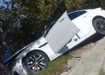 ACCIDENTE EN CANCÚN: Coche de lujo casi cae a la laguna Nichupté tras chocar en zona hotelera 1 ACCIDENTE EN CANCÚN: Coche de lujo casi cae a la laguna Nichupté tras chocar en zona hotelera