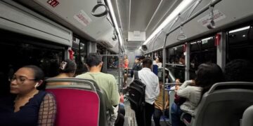 Ruta MOBI cruzará el Puente Nichupté: ofrecerá viajes gratuitos del 2 al 9 de noviembre