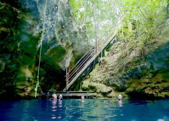 Descarta Playa del Carmen alerta sanitaria por amebas de vida libre