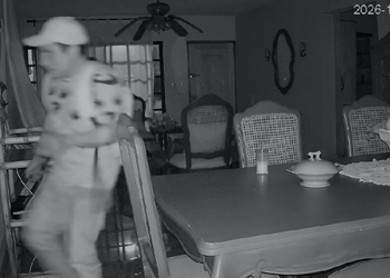 Buscan identificar a presunto ladrón captado por cámaras en Chetumal